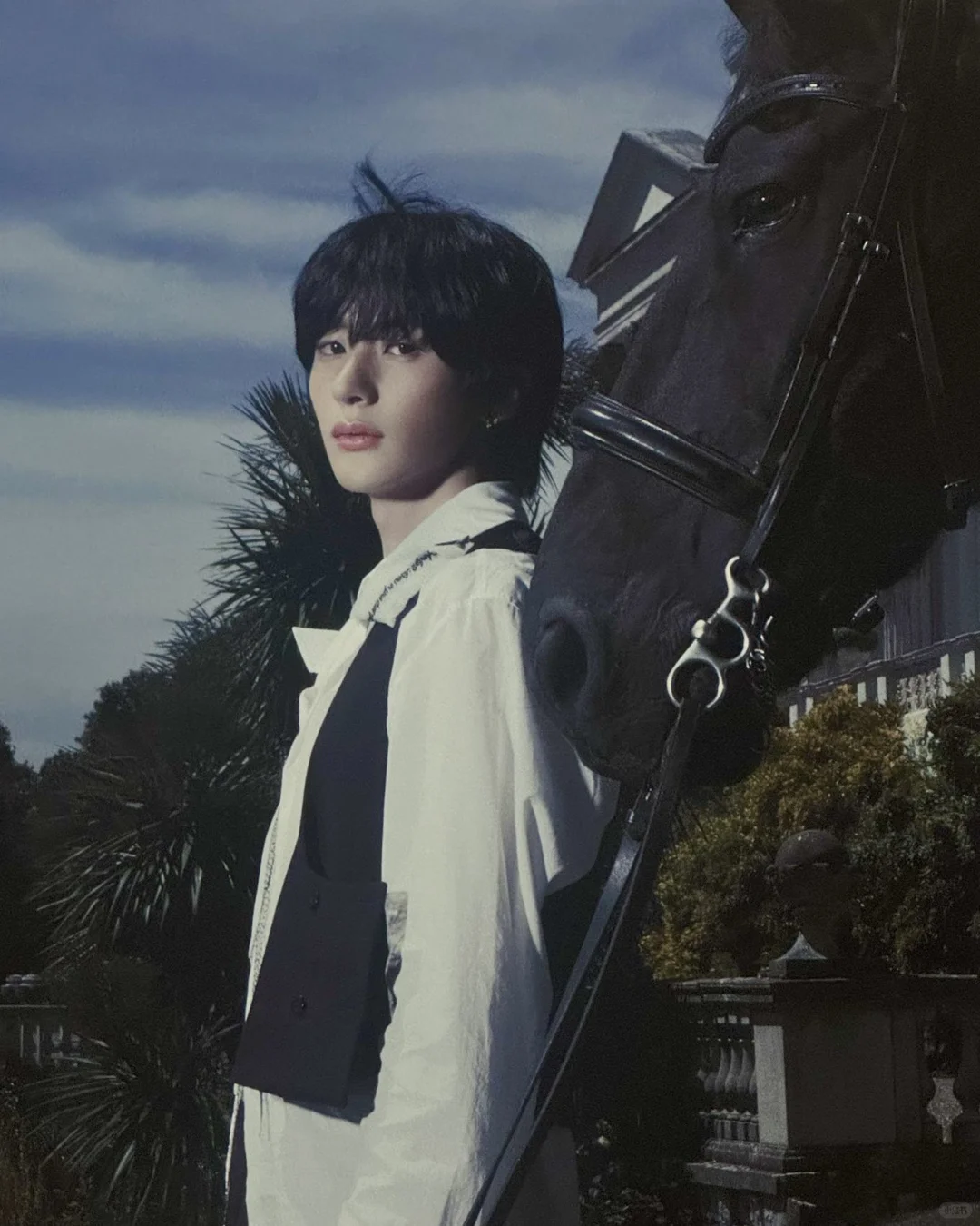 展览会Anton照片