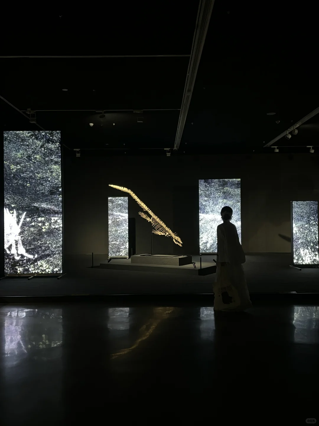 我宣布这是深圳本月蕞震撼的新展✨好多真迹