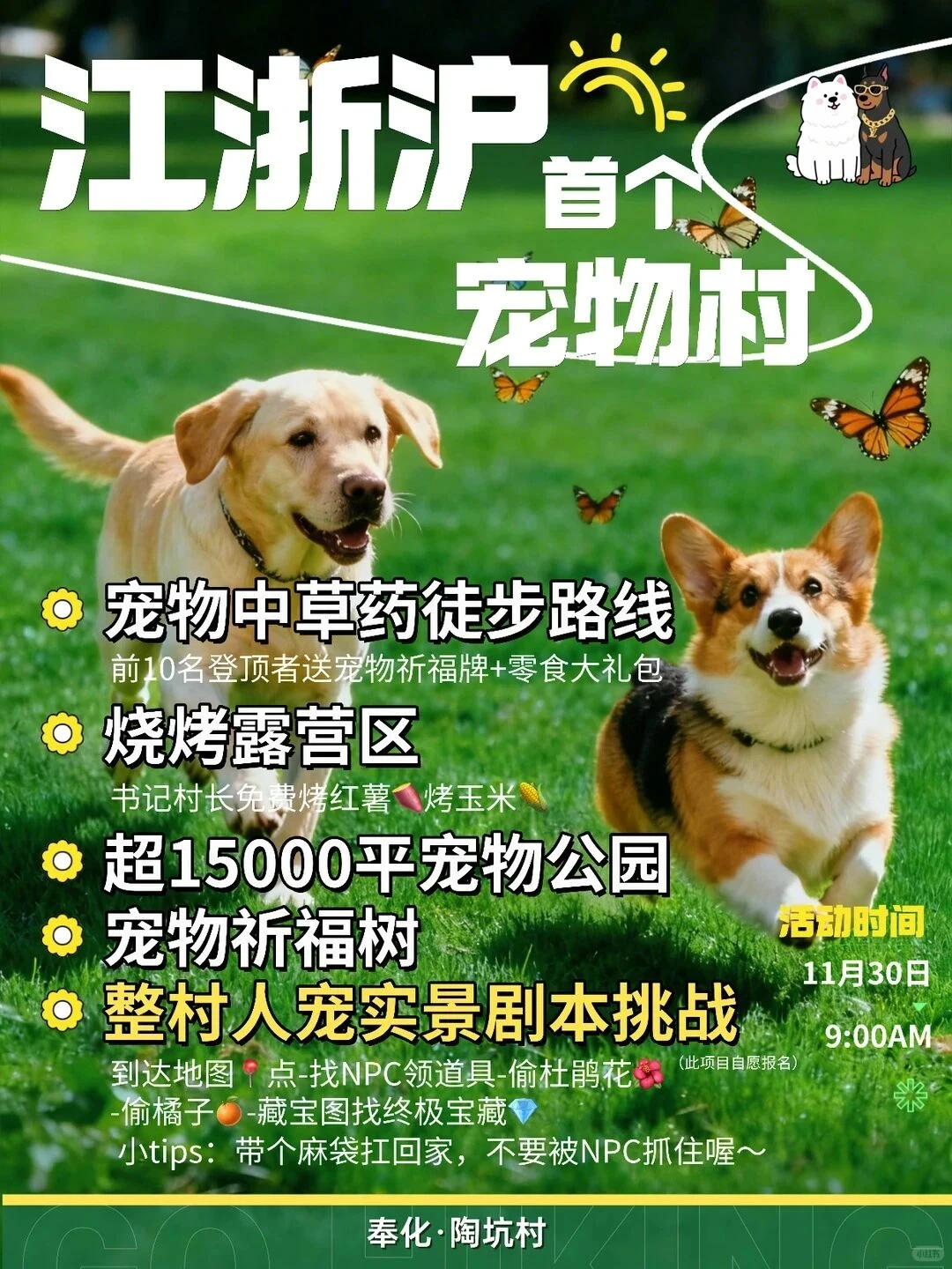 宁波|12月活动合集来啦?