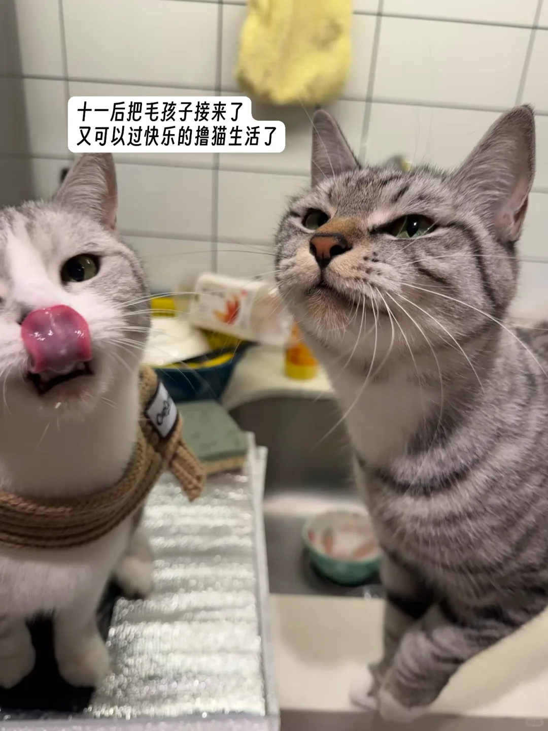 B端品牌营销人Q4都忙些什么?