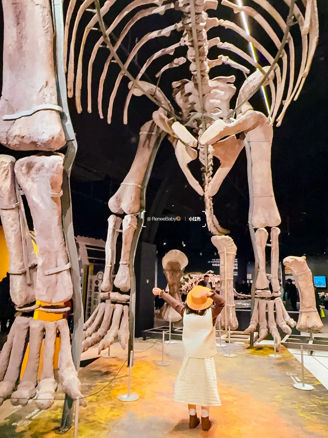 北京亲子看展✨11月值得看的9️⃣个展览合集?