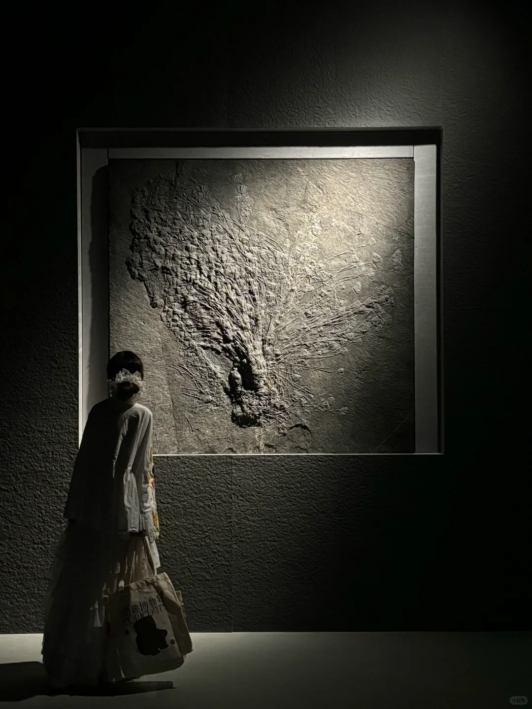 我宣布这是深圳本月蕞震撼的新展✨好多真迹