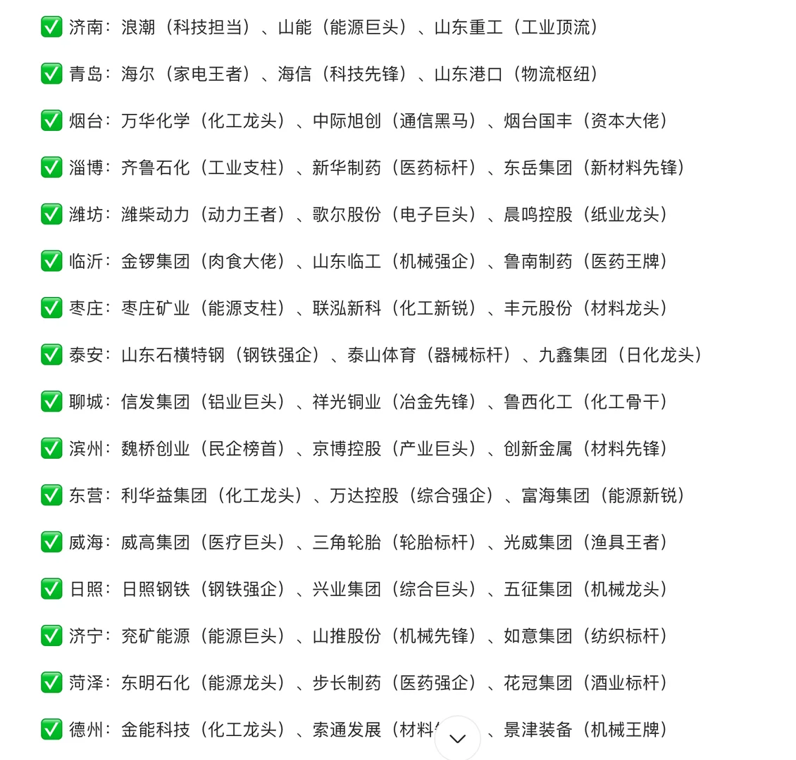 山东16 市龙头企业!本土大佬实力藏不住了