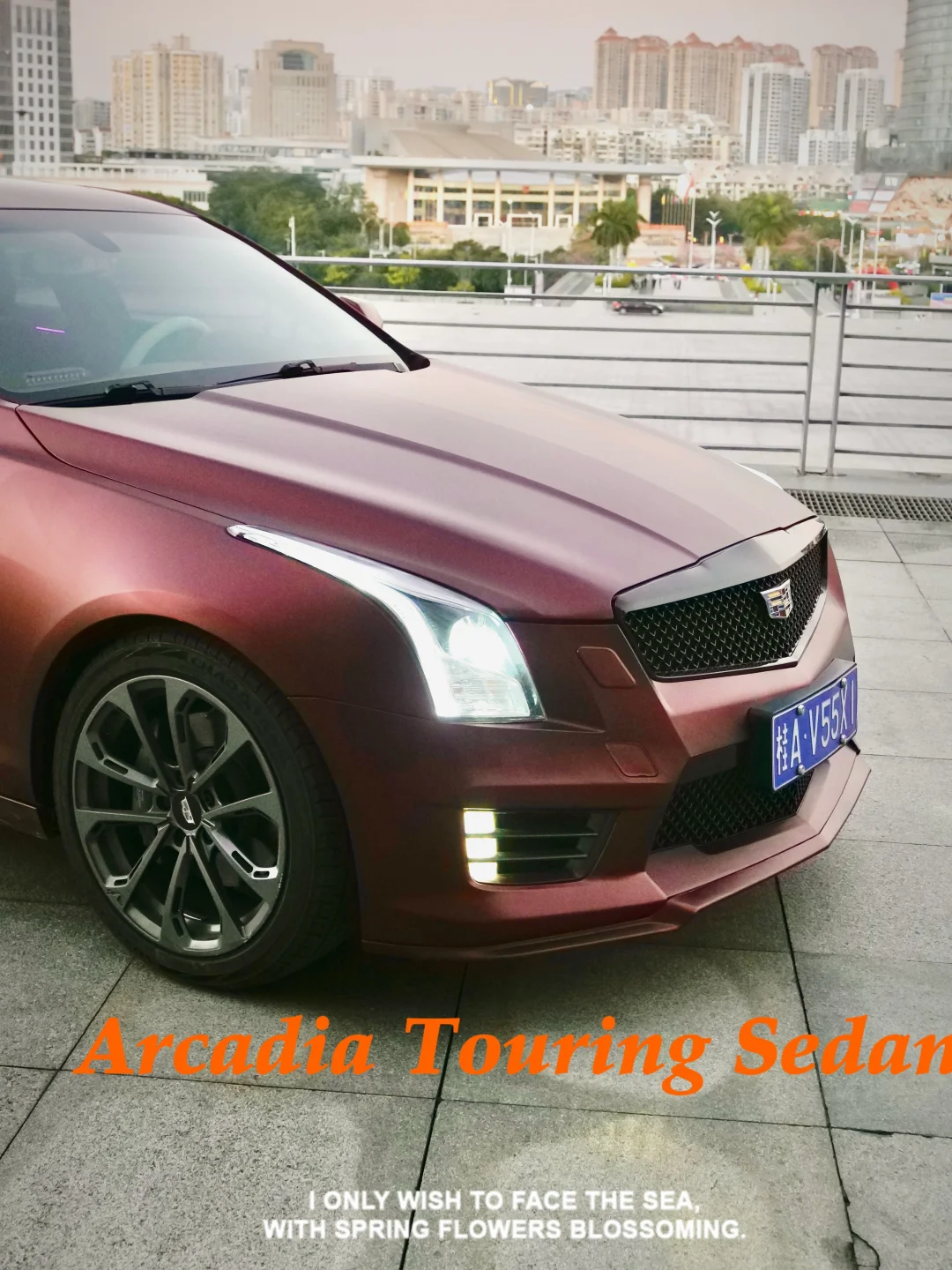 当我在会展中心这么拍车这么多人点赞