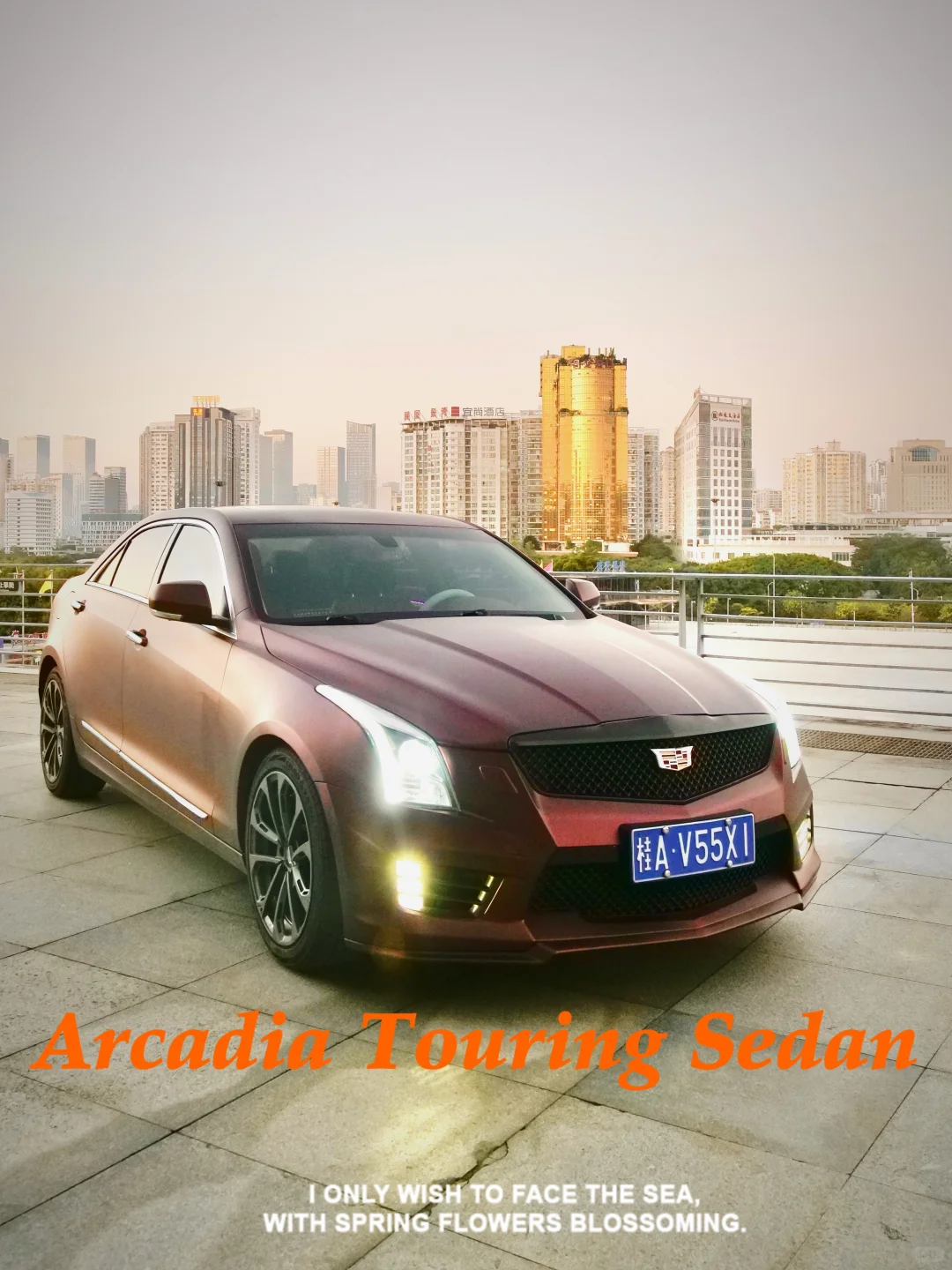 当我在会展中心这么拍车这么多人点赞