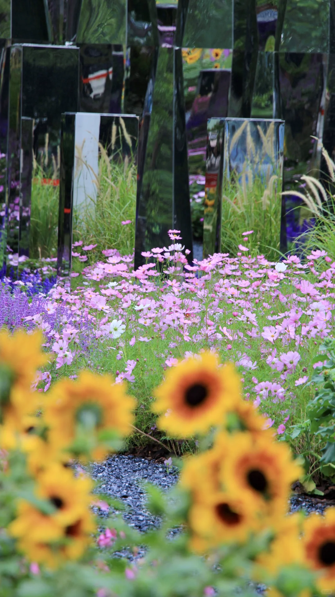 都去拍这个魔幻镜子?真是谁拍谁好看