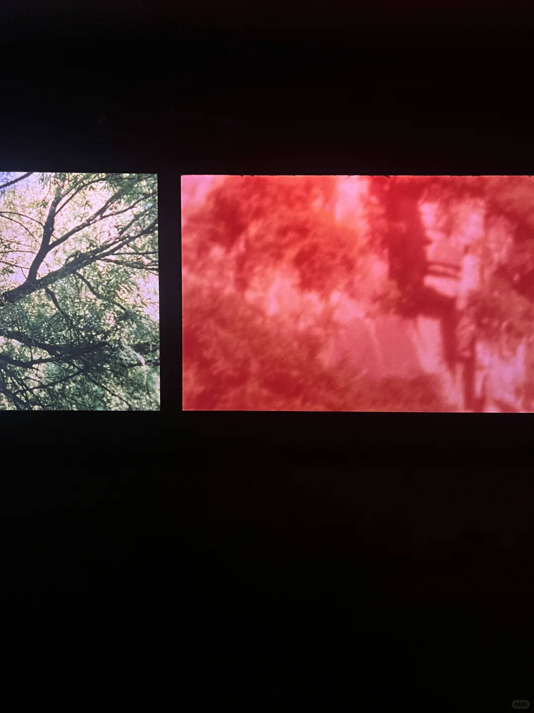 ?北京必看新展！别错过这个年度重磅展览！