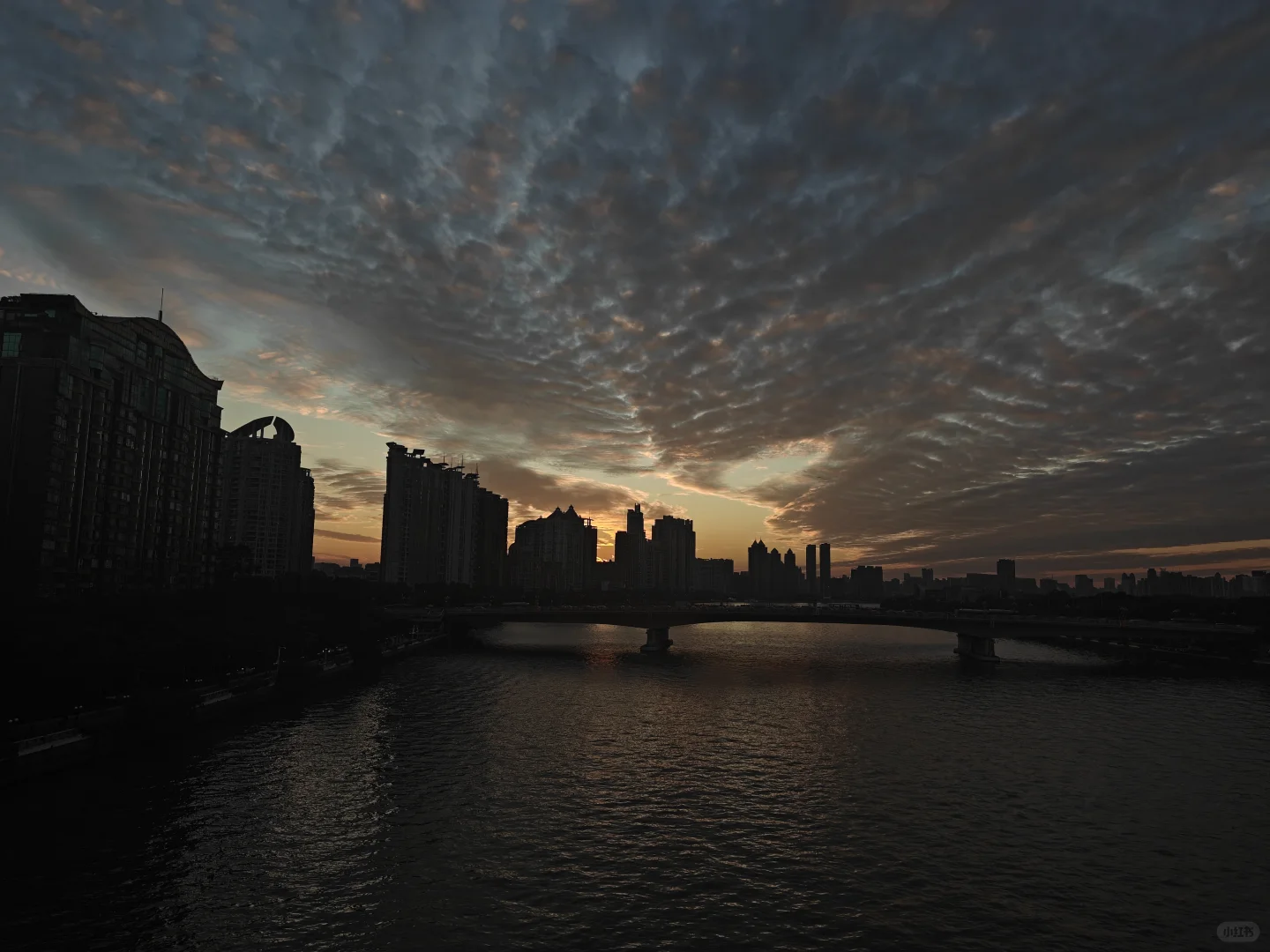 11月广州5天吃喝旅,个人感觉不错的记录下