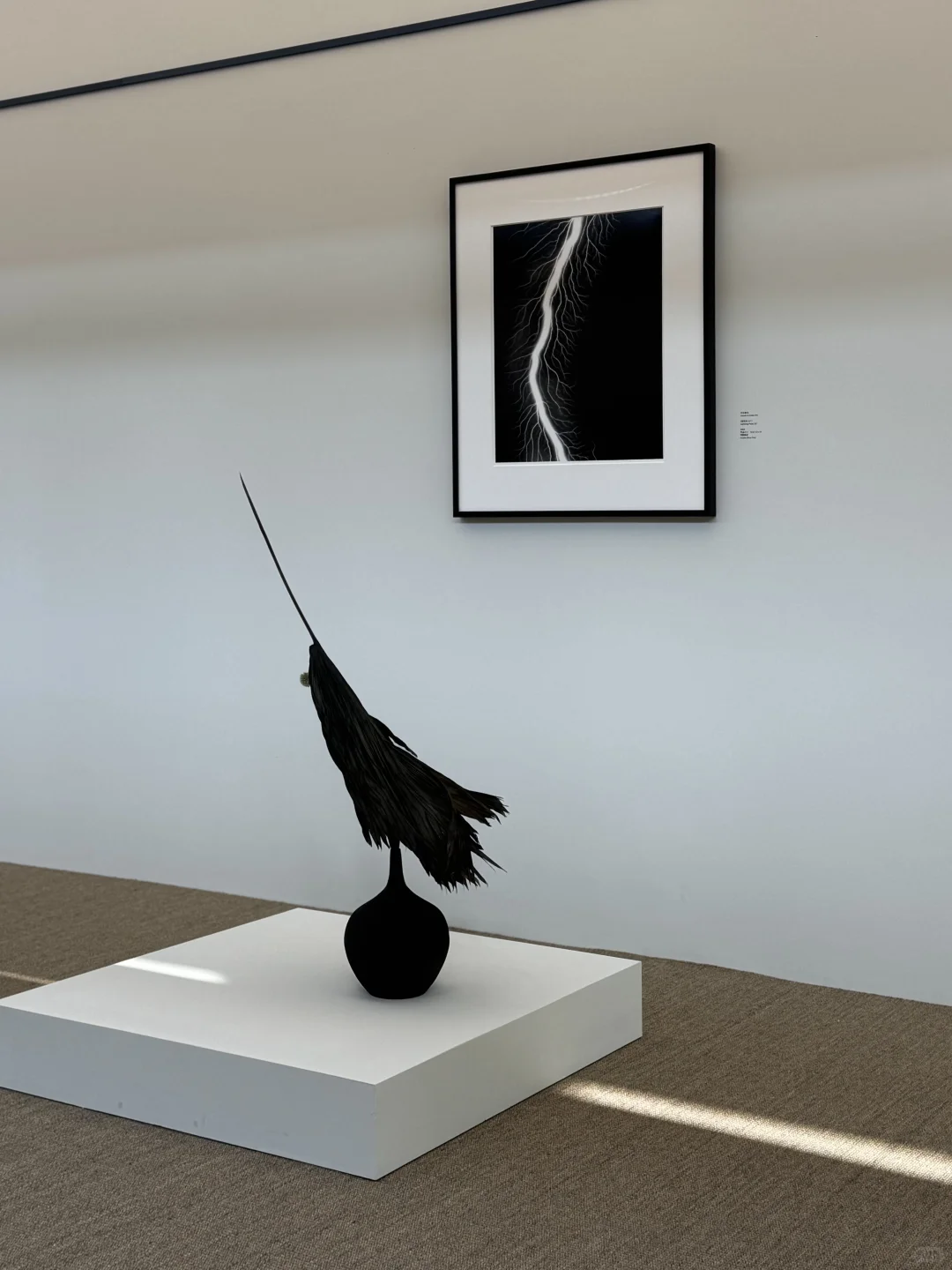 西岸艺博会?一天七馆跑断腿❗️（附攻略）