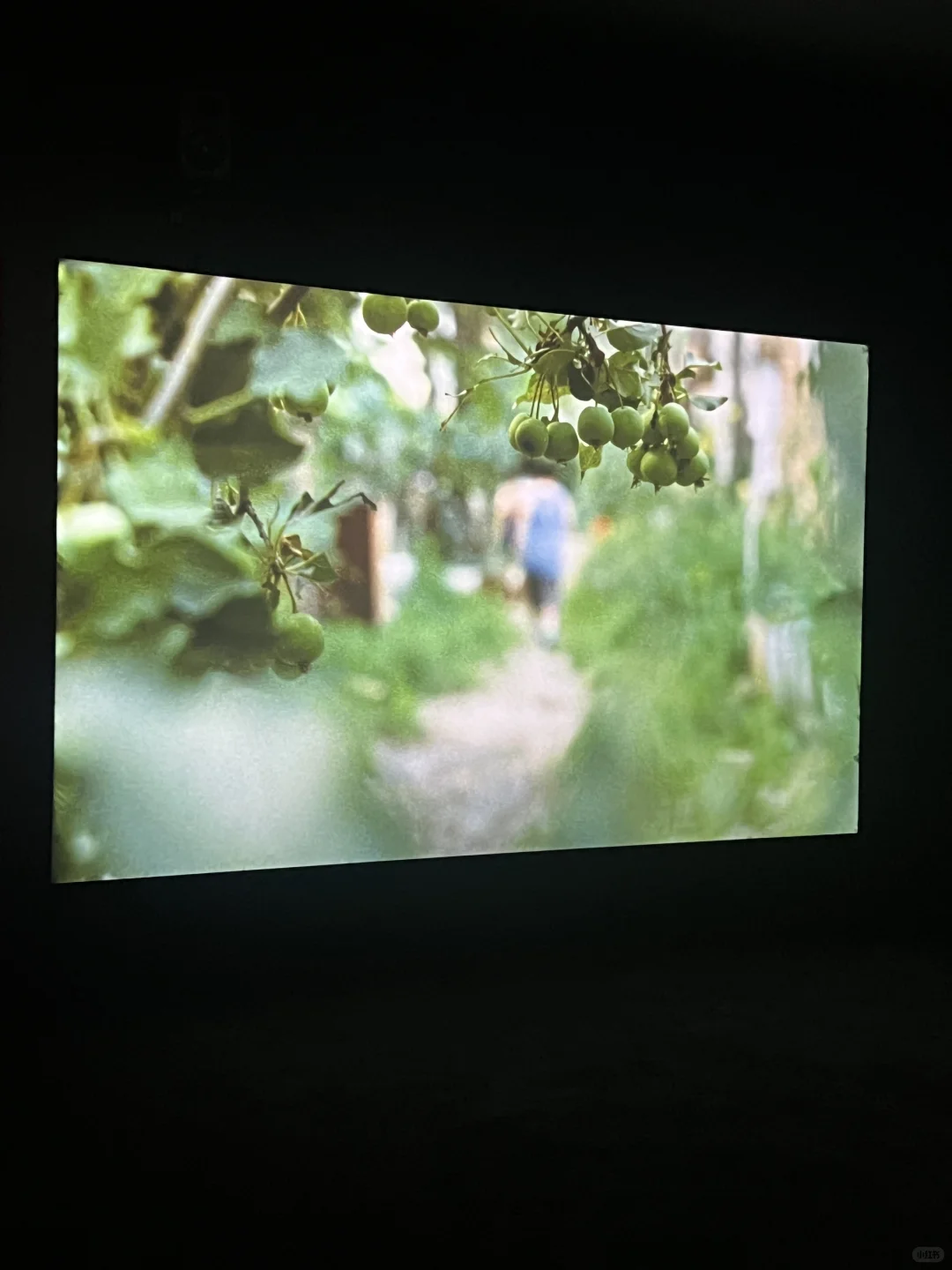 ?北京必看新展！别错过这个年度重磅展览！