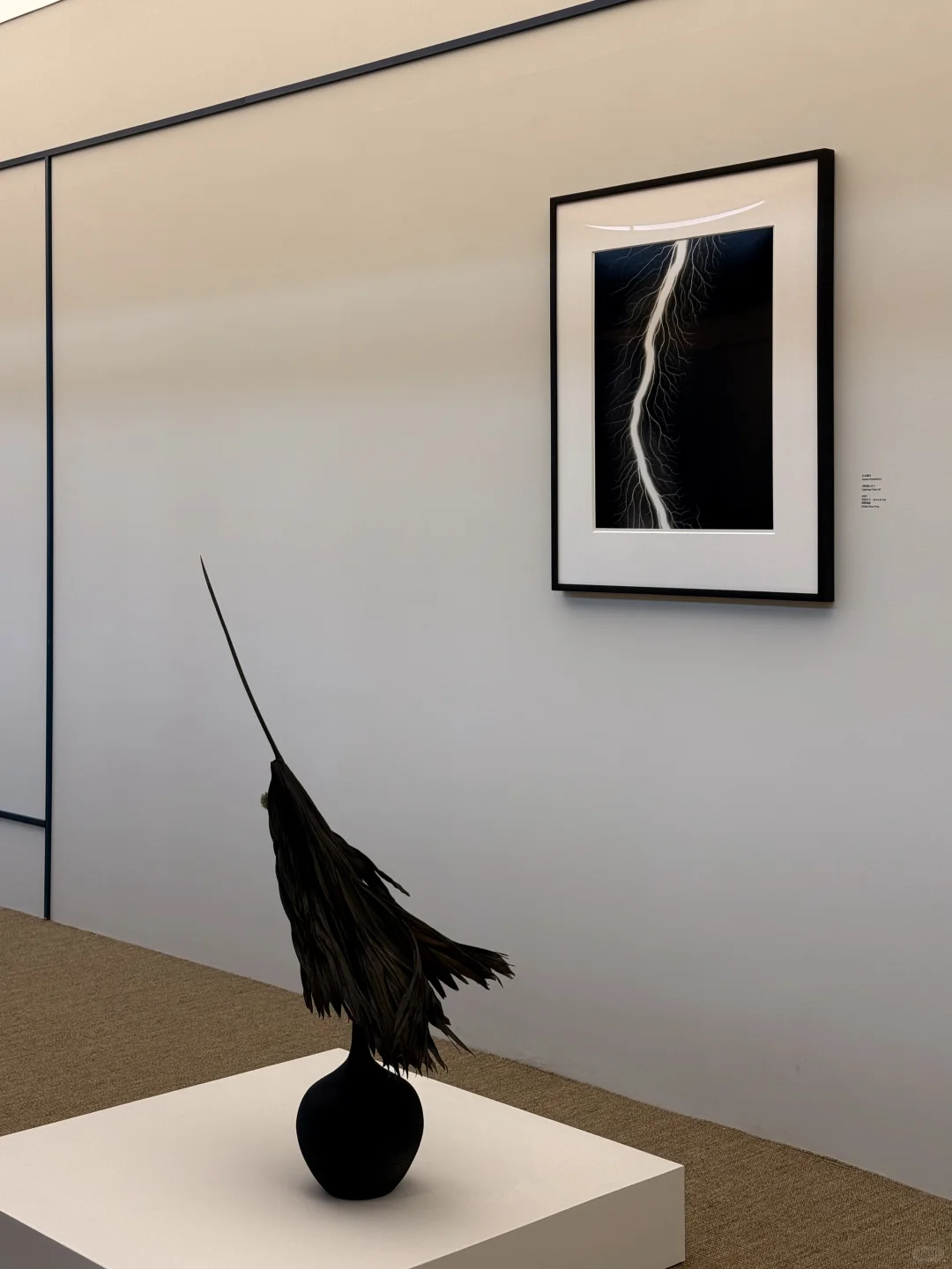 sigma | 无用之用