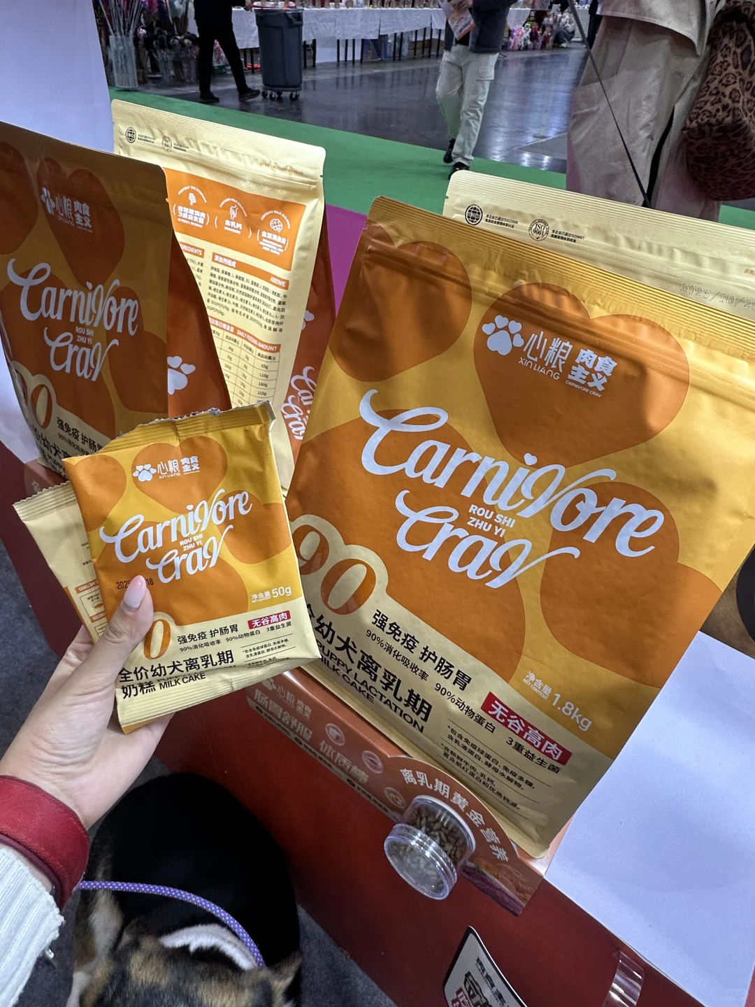 郑州养宠人快看!这个宠物展太有意思了?