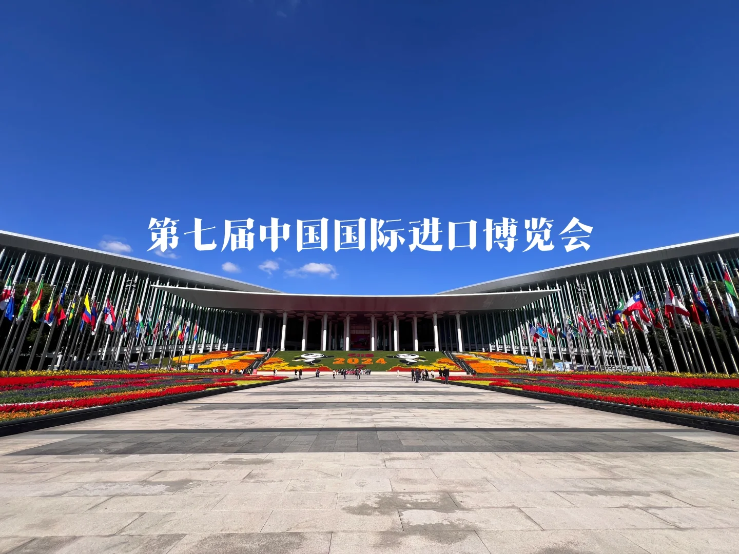 第七届进博会开幕 四叶草再迎“进博时间”