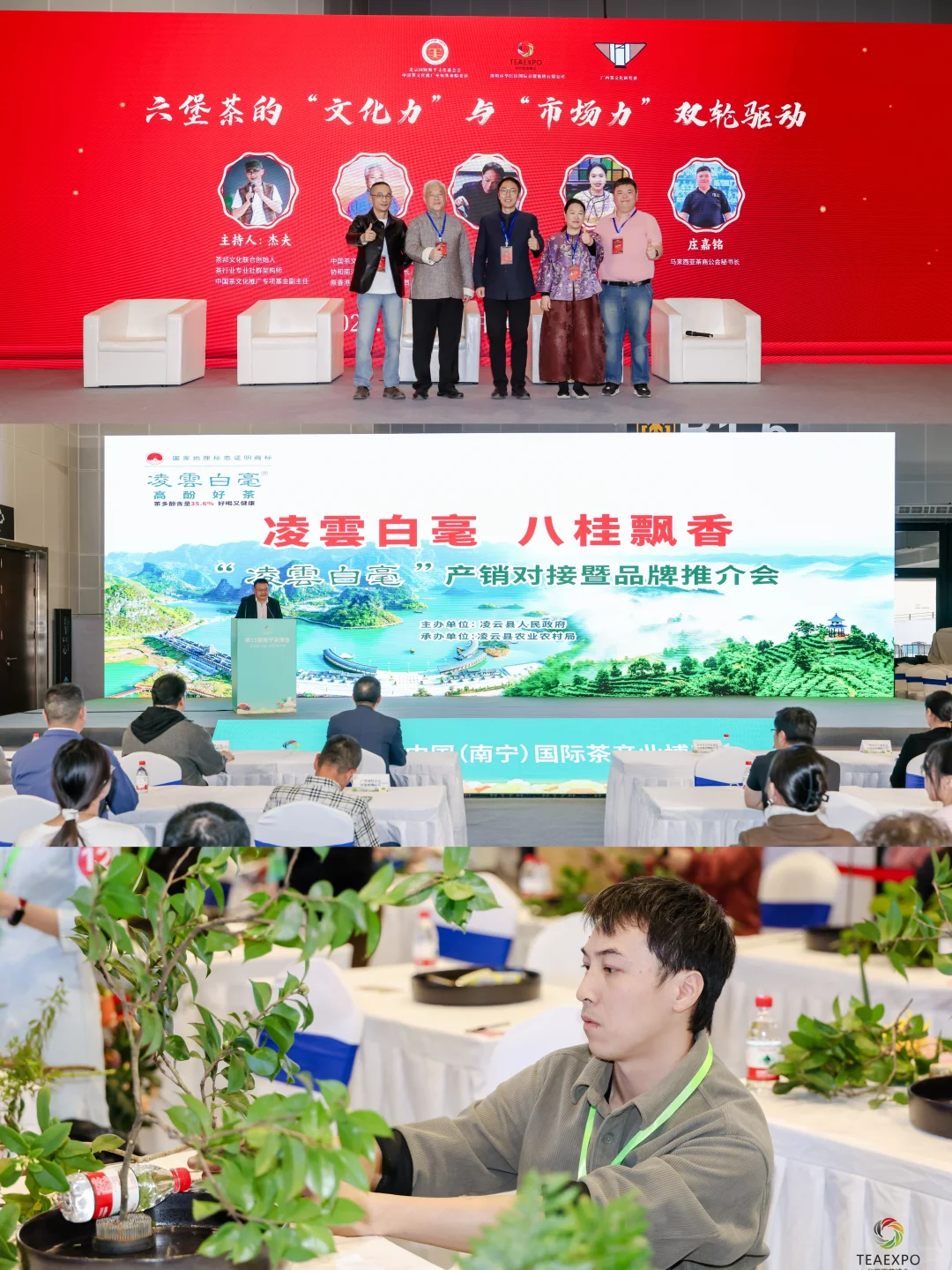 南宁这里免费喝茶，打卡有礼，友仔友女冲啊