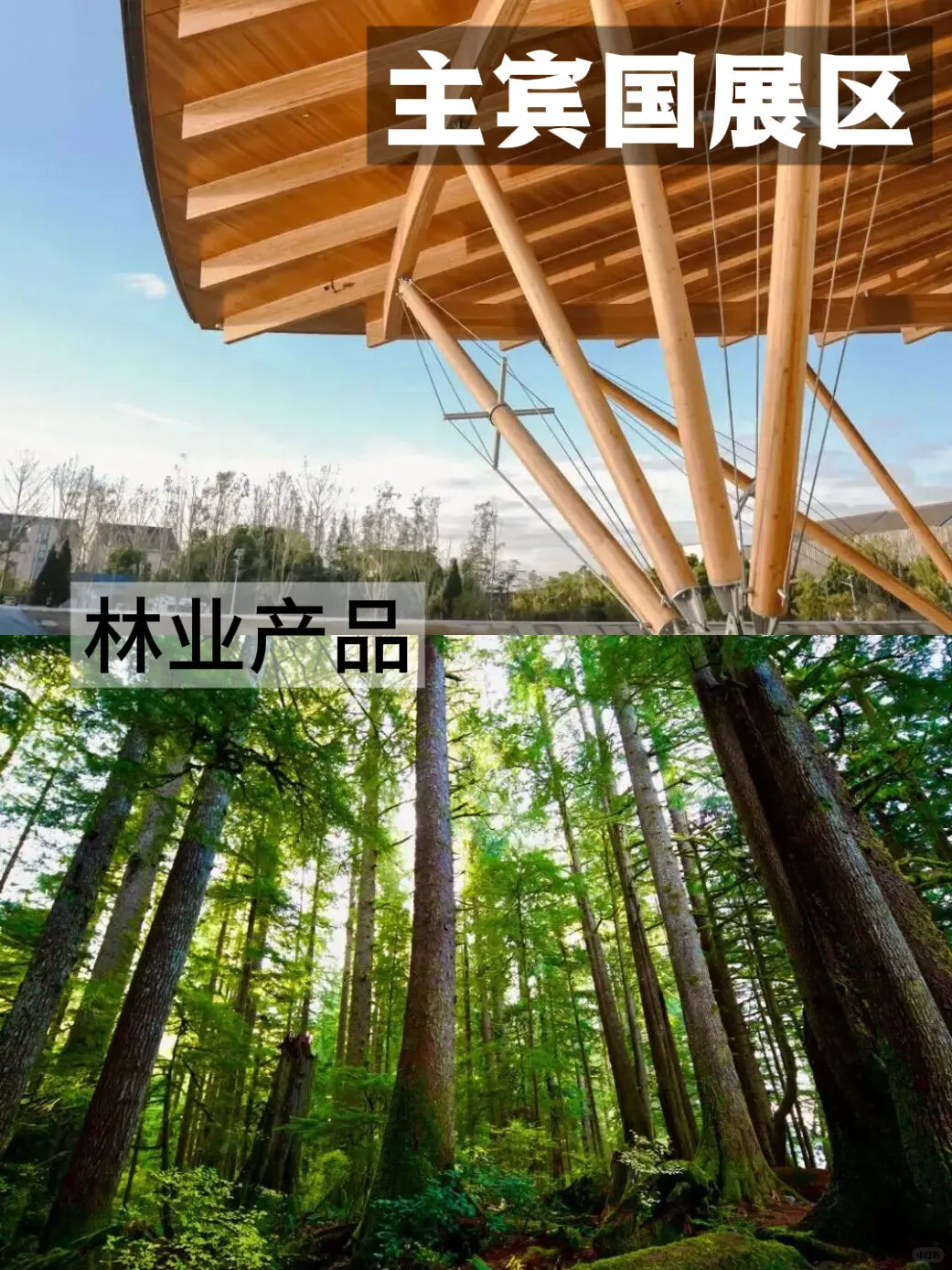 赠票福利丨去2025广州设计周看全球好室