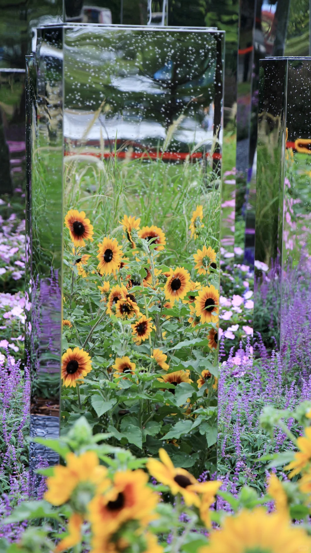 都去拍这个魔幻镜子?真是谁拍谁好看