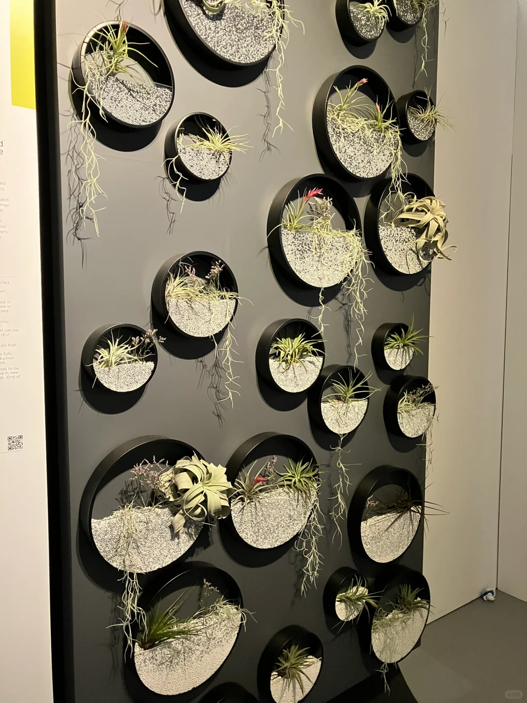 跟我一起去看展 2025米兰设计周