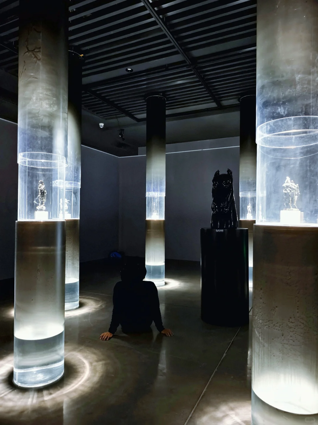 肇庆重磅免费双展‼️天马行空般重新想象