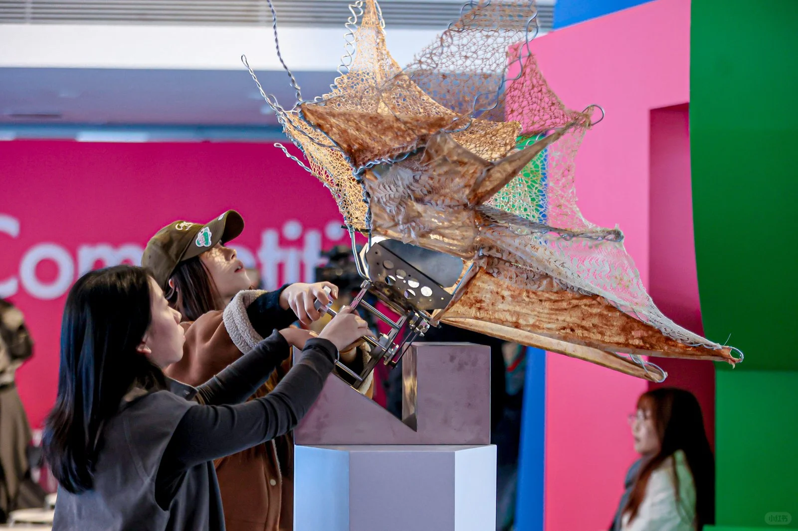 被这个新展狠狠震撼!这轮打卡必看了?