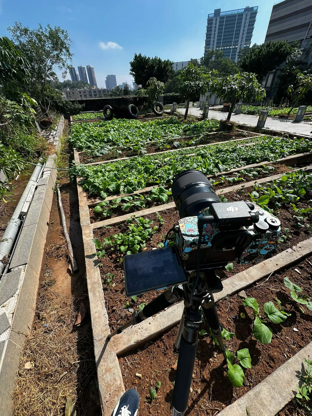 芜湖宣传片 视频图片直播 短视频MV拍摄跟拍