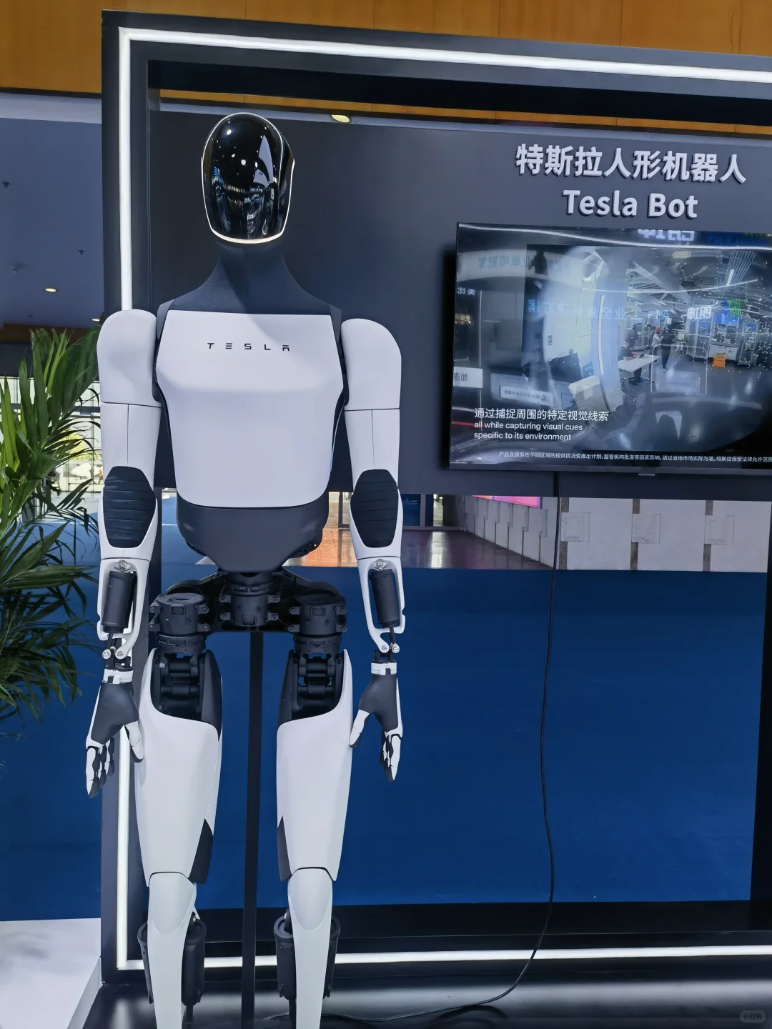 机器人未来超过人类数量