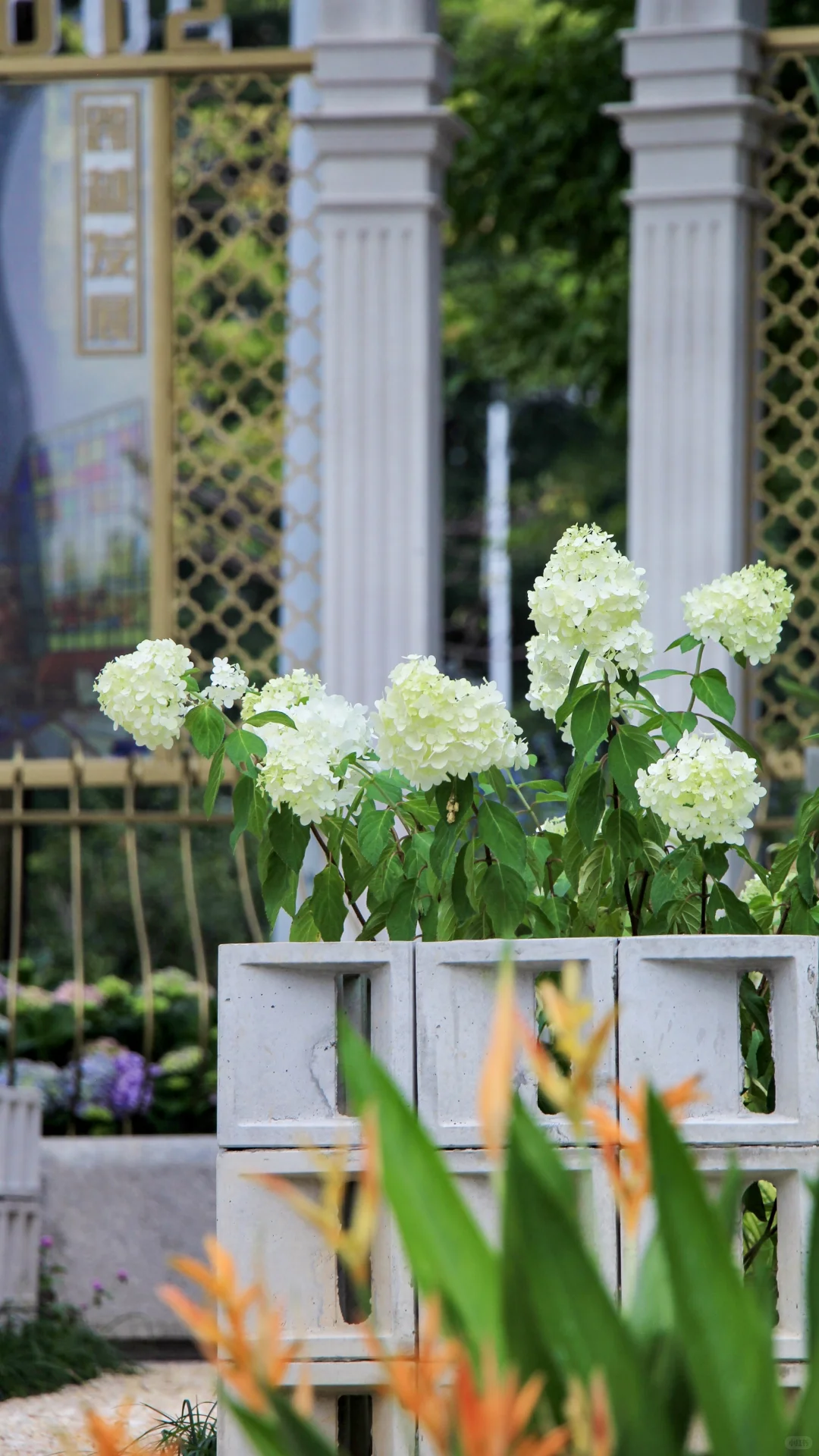 都去拍这个魔幻镜子?真是谁拍谁好看