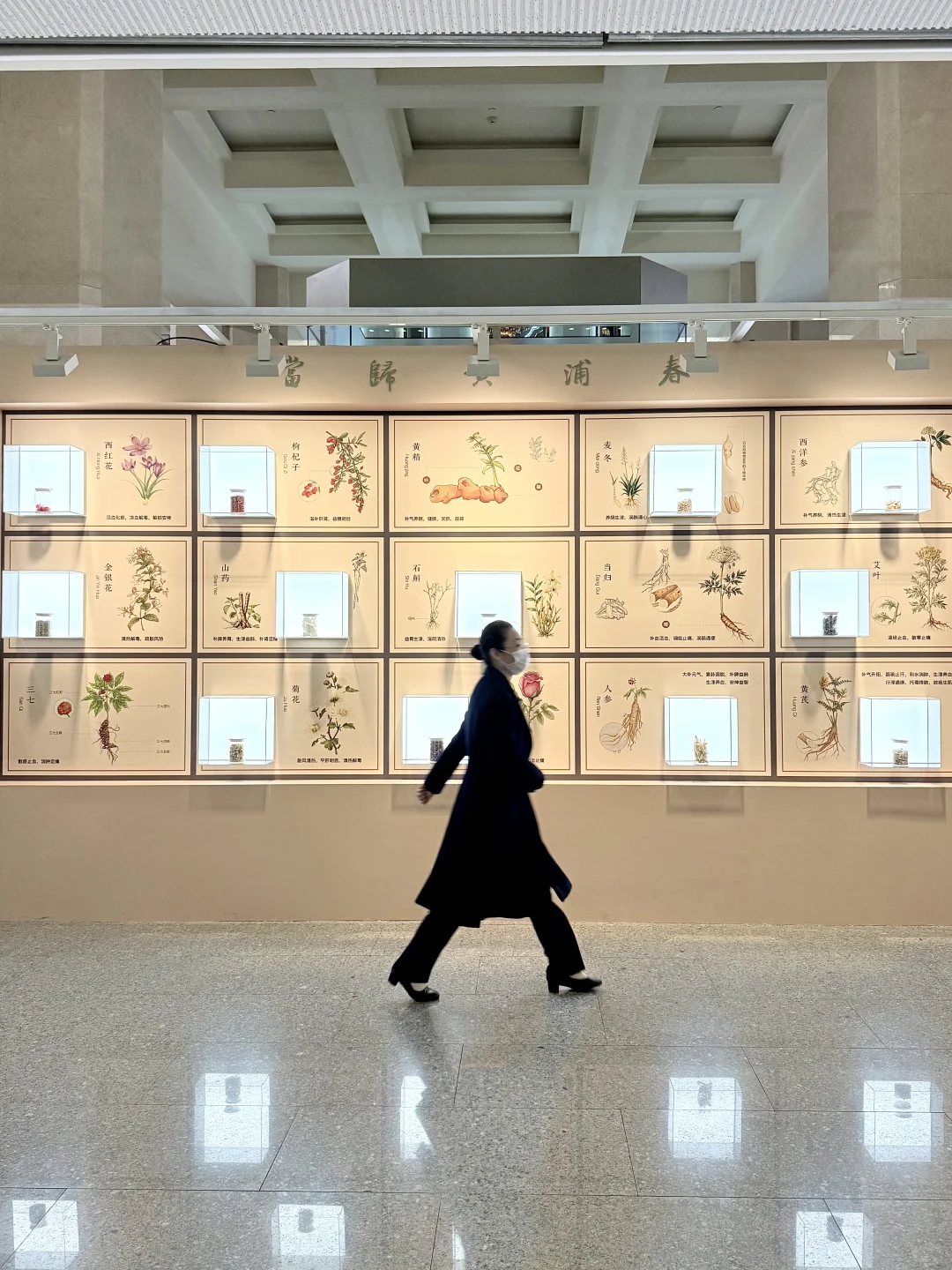 上海什么展？？还要我躺着看…?️??