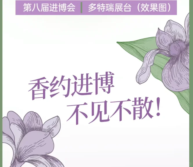 第八次打造进博“最香”展台