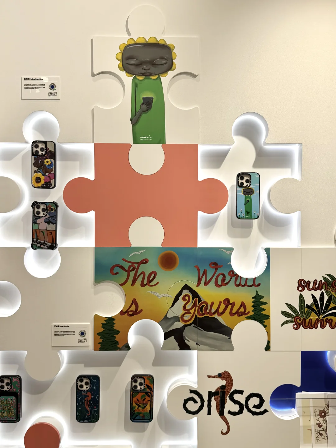 一头撞进CASETiFY异想世界??️?