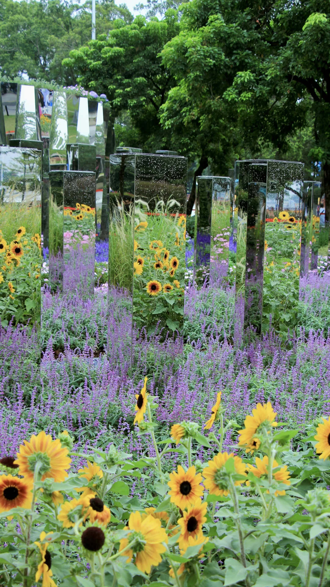 都去拍这个魔幻镜子?真是谁拍谁好看