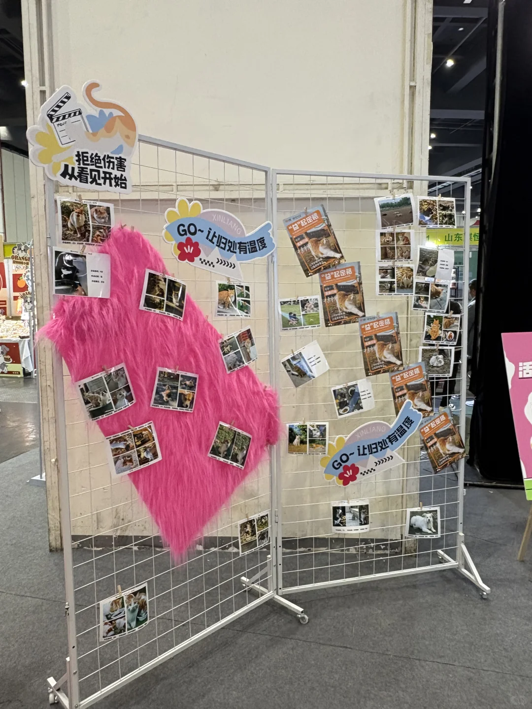 郑州养宠人狂喜!CBD宠物展逛到不想走?