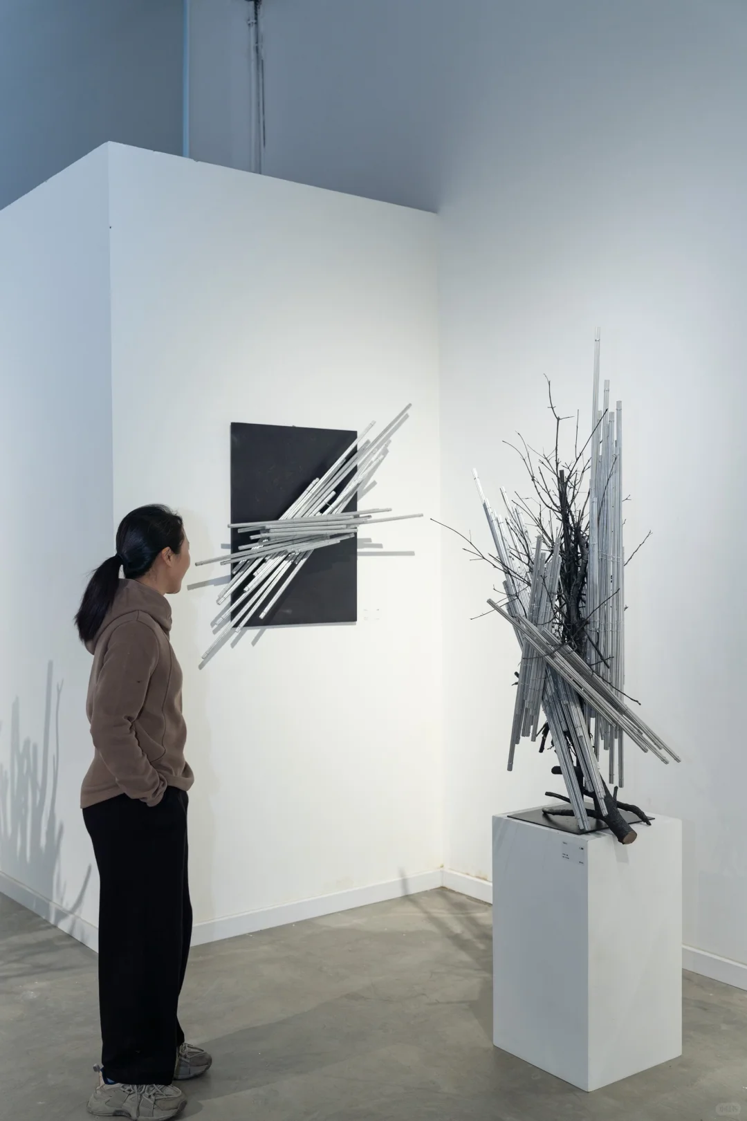 策展｜草月当代装置艺术展