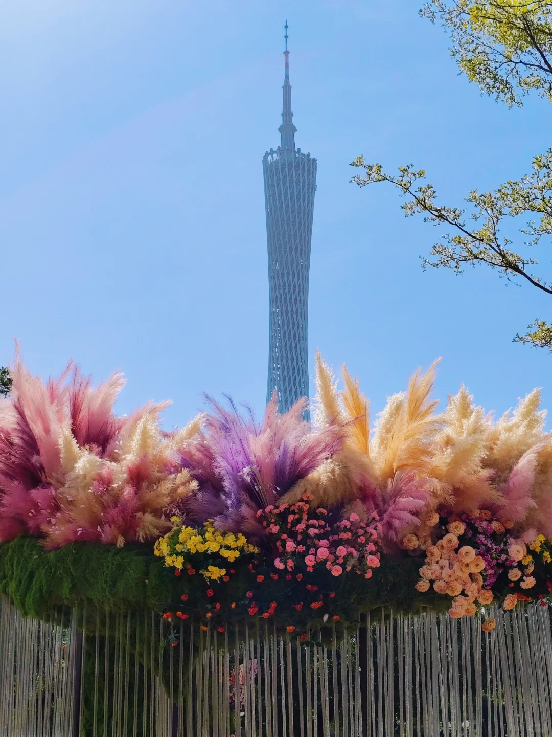 广州园博会 好多花花呀 拍照太美啦