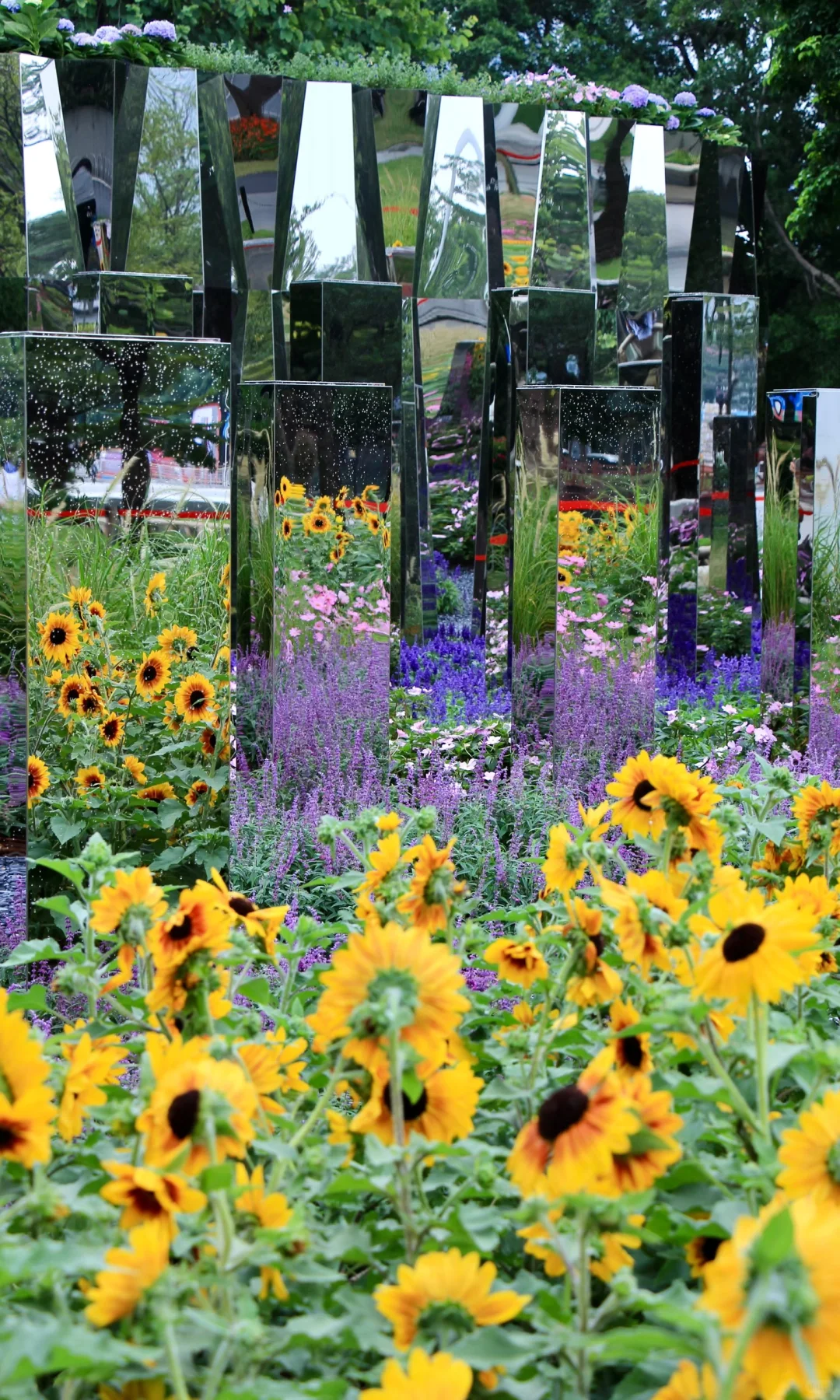 都去拍这个魔幻镜子?真是谁拍谁好看