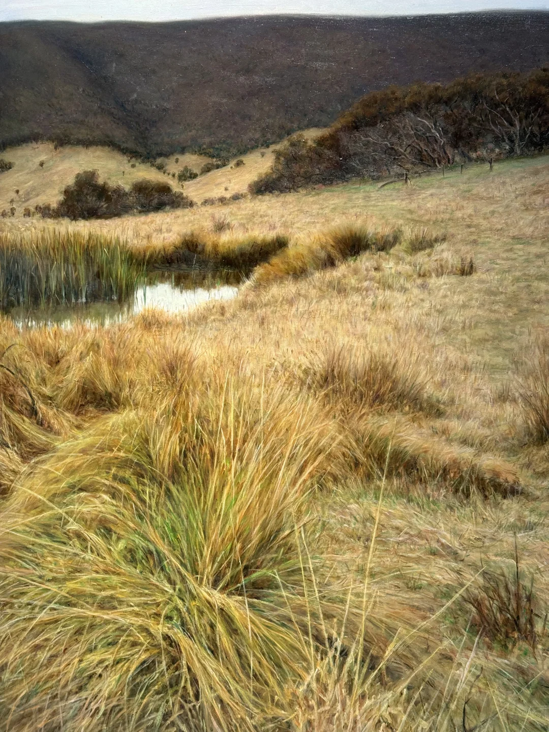 ?上戏80年艺术家底，都藏在海派艺术馆了！