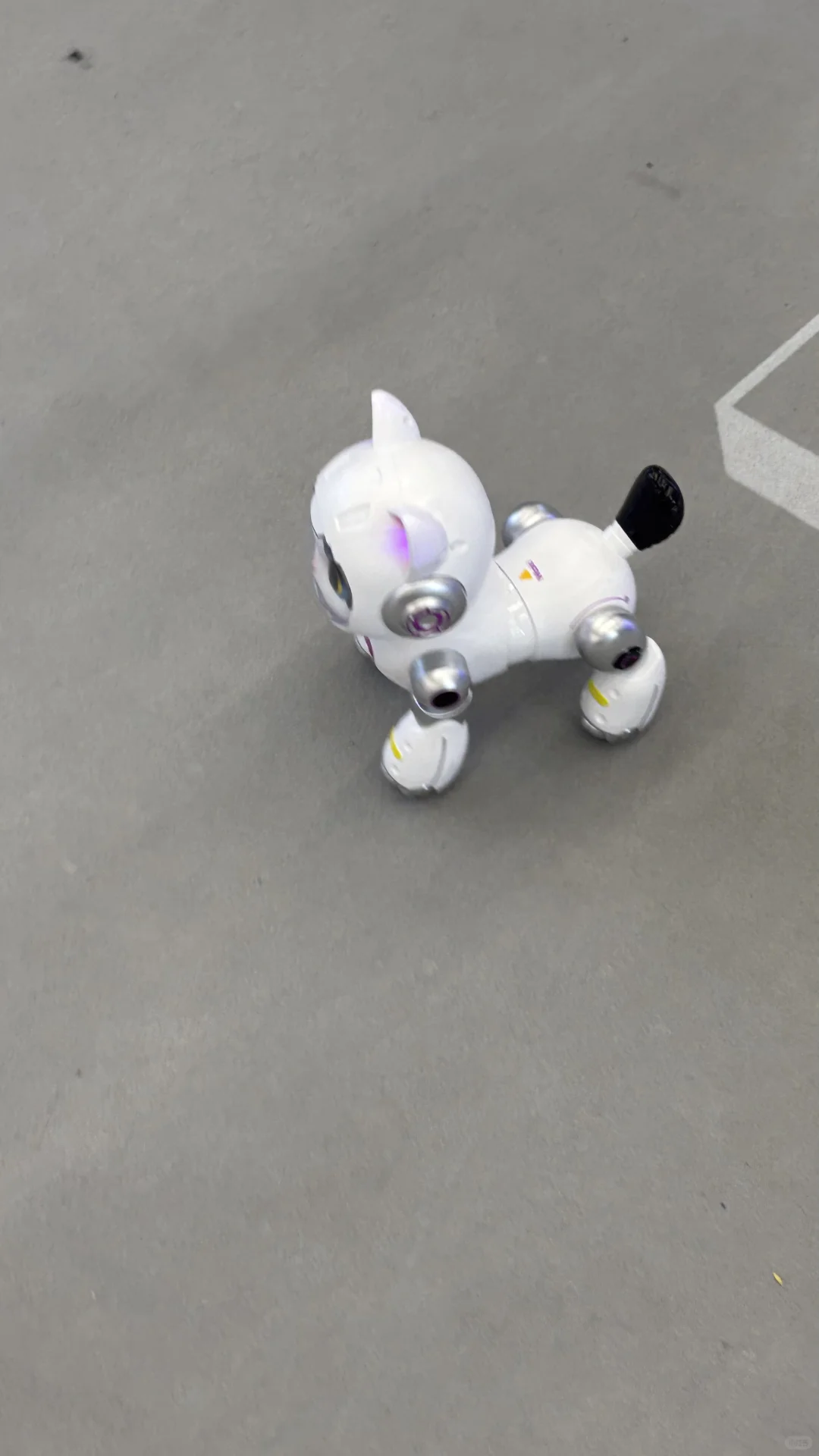 ?宁波中小工厂展·次日续篇plog日记?