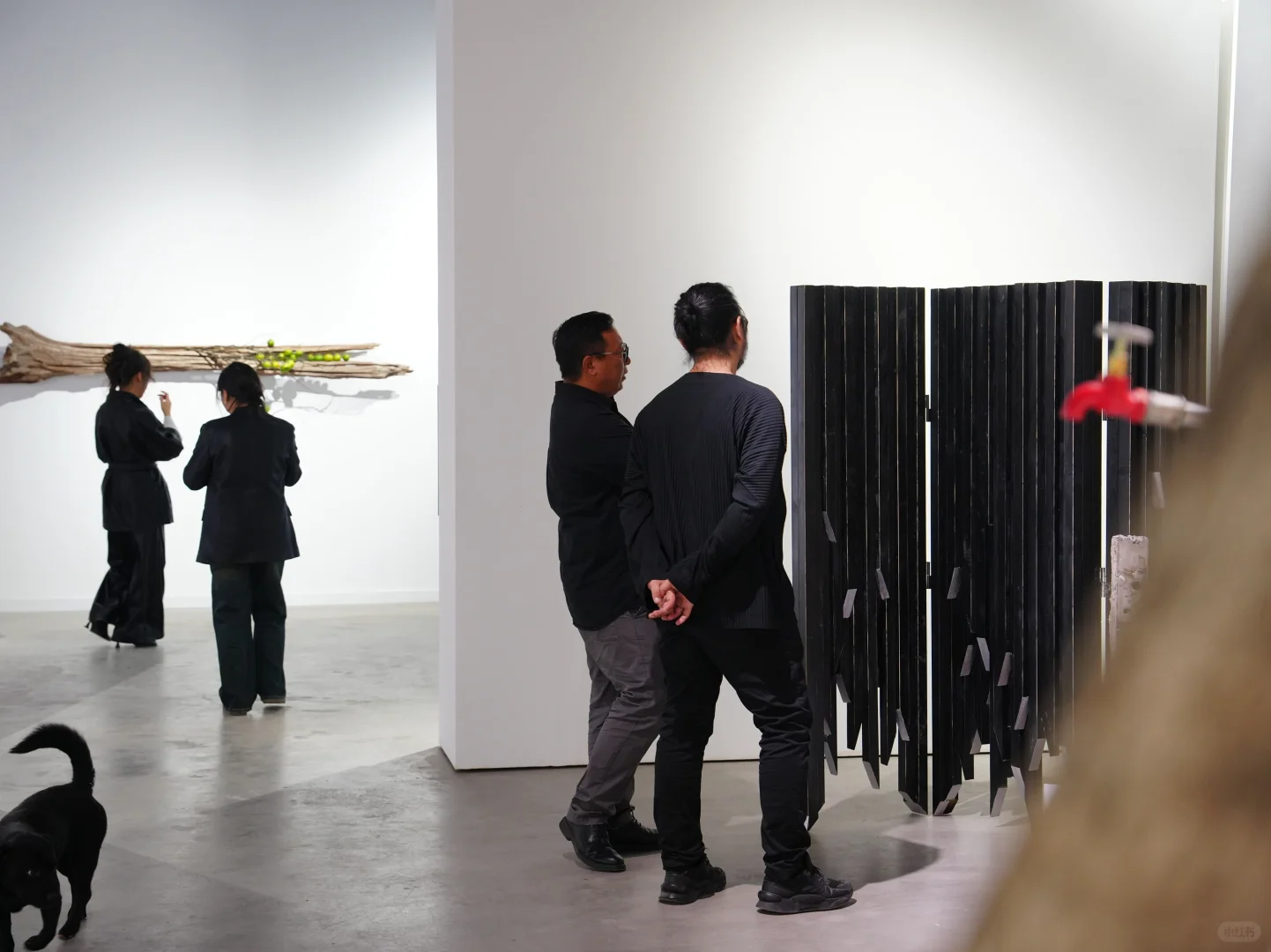 策展｜草月当代装置艺术展