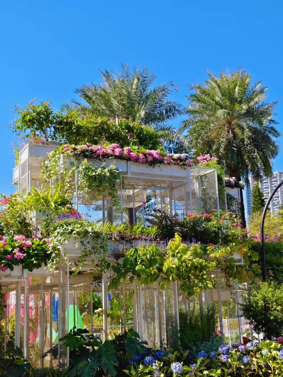 广州园博会 好多花花呀 拍照太美啦