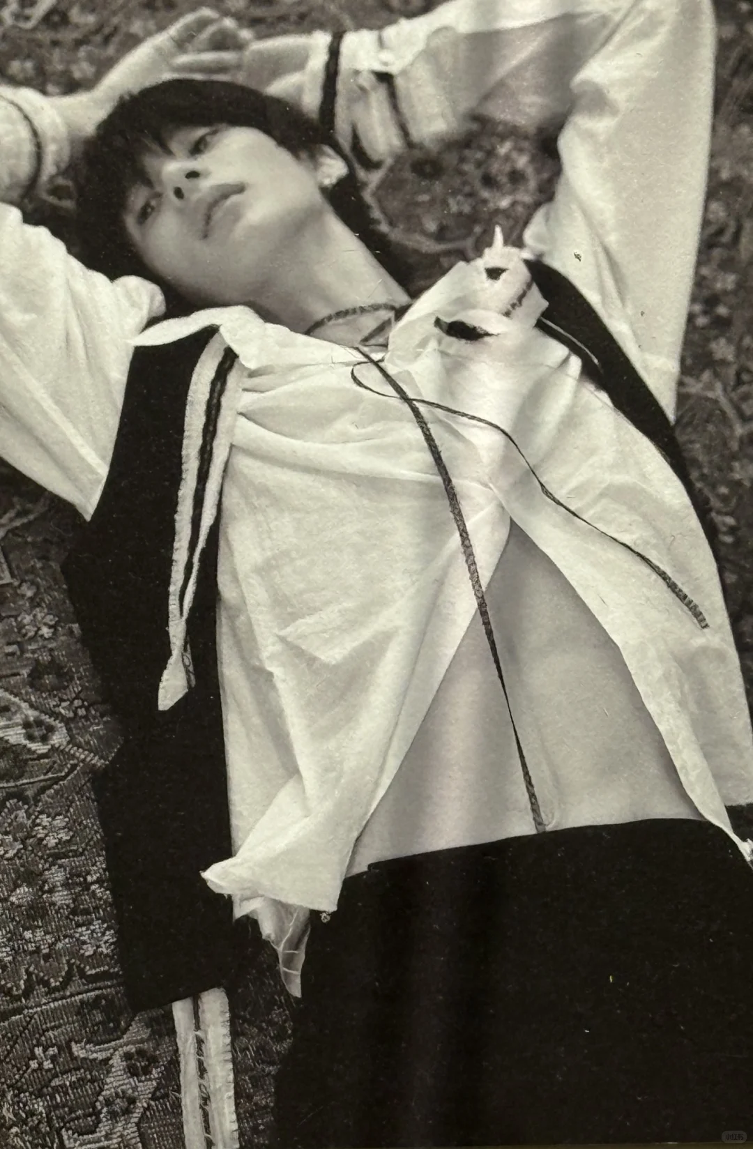 展览会Anton照片