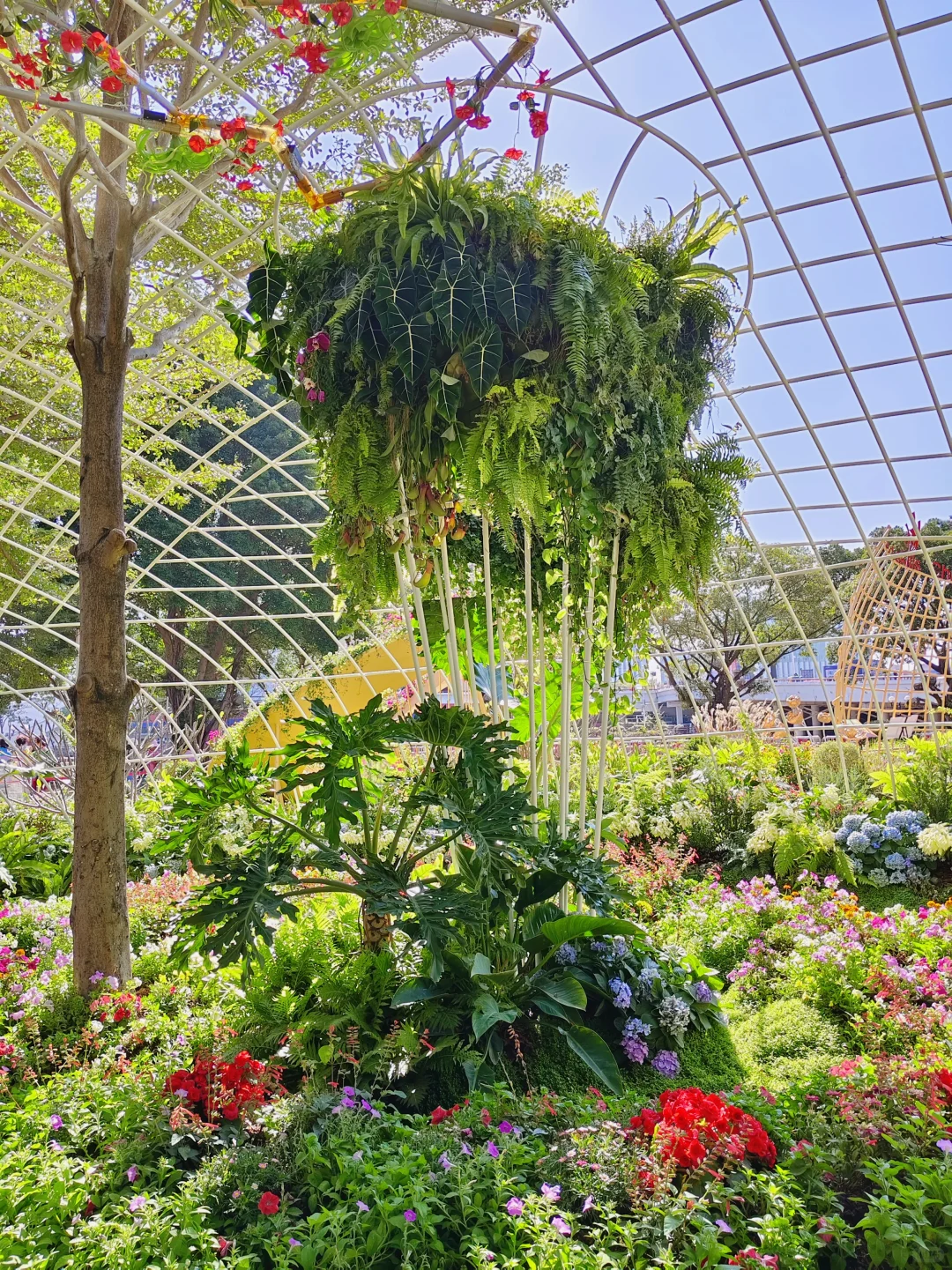 广州园博会 好多花花呀 拍照太美啦