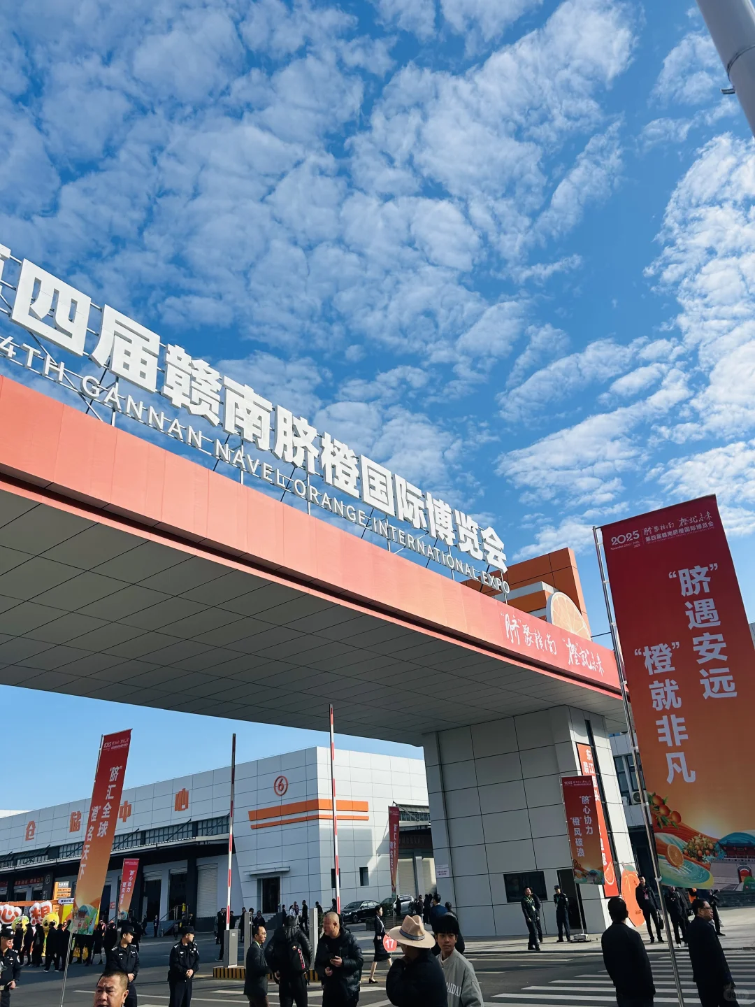 太好逛啦！脐橙博览会就像橙子主题游园会！