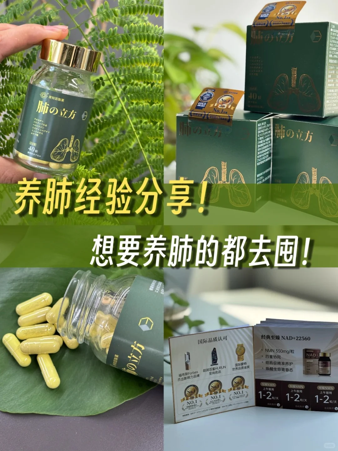 谁说养肺难?这个宝藏产品??