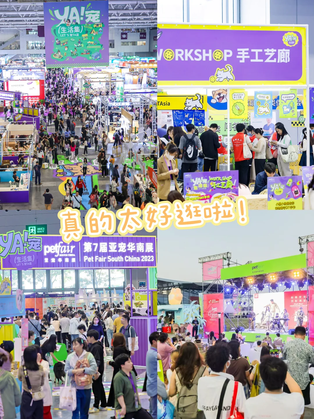 亚宠华南展福利！揪20位粉丝免费逛展啦?
