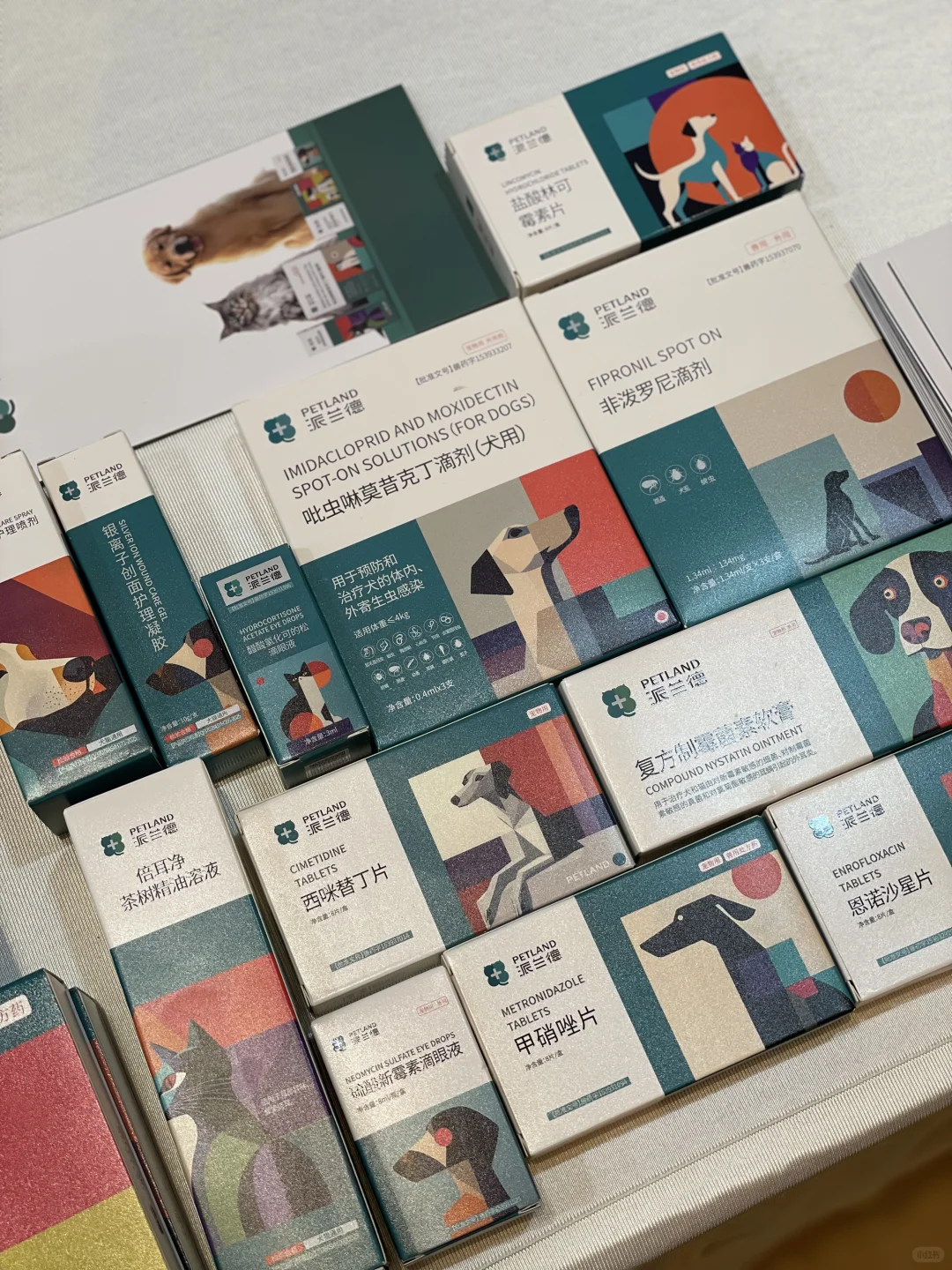 威仕宝×宠物行业盛会|专注健康,共探未来