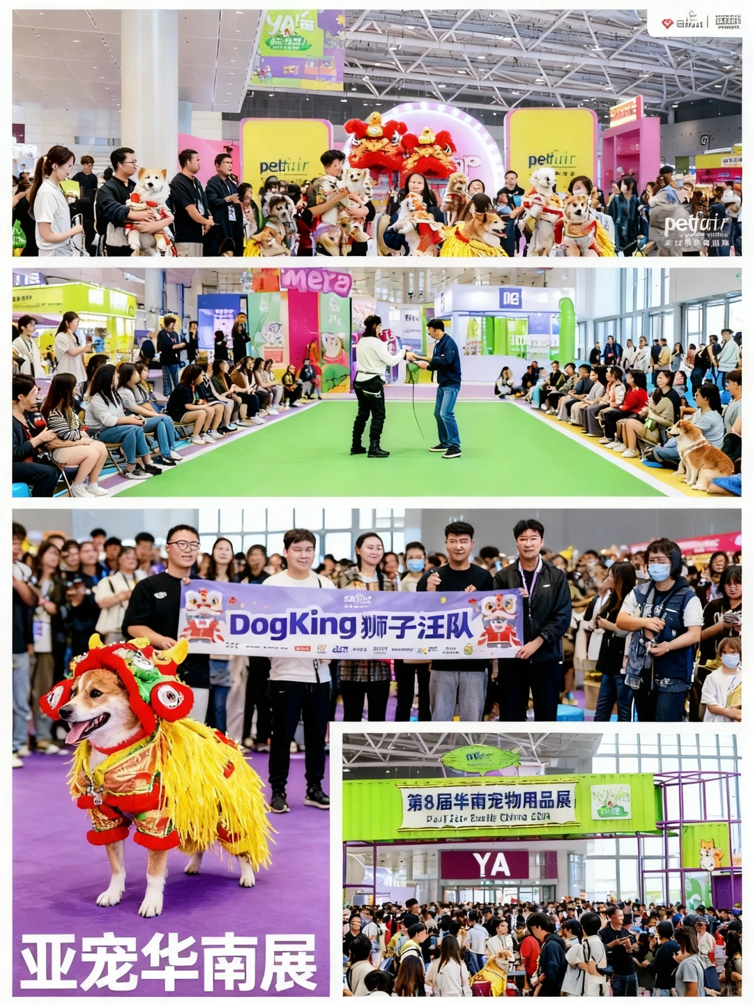 深圳亚宠展来了！免费门票速抢?