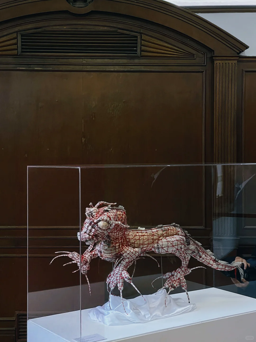 报告！在上海发现一个可爱又免费的艺术展?