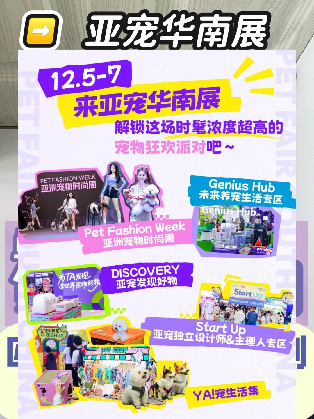 铲屎官狂喜！饭团带你提前云逛亚宠华南展