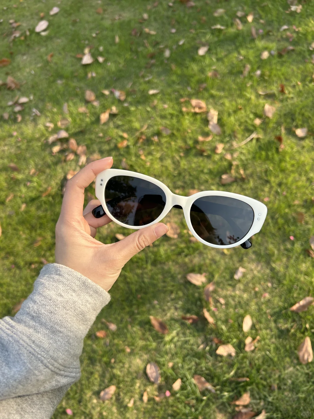 19.9r…………好戴s了！！！