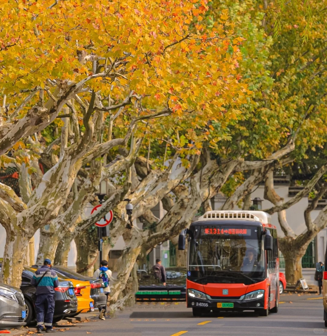 别再在 杭州 虚度光阴 啊啊啊啊啊！！！！！