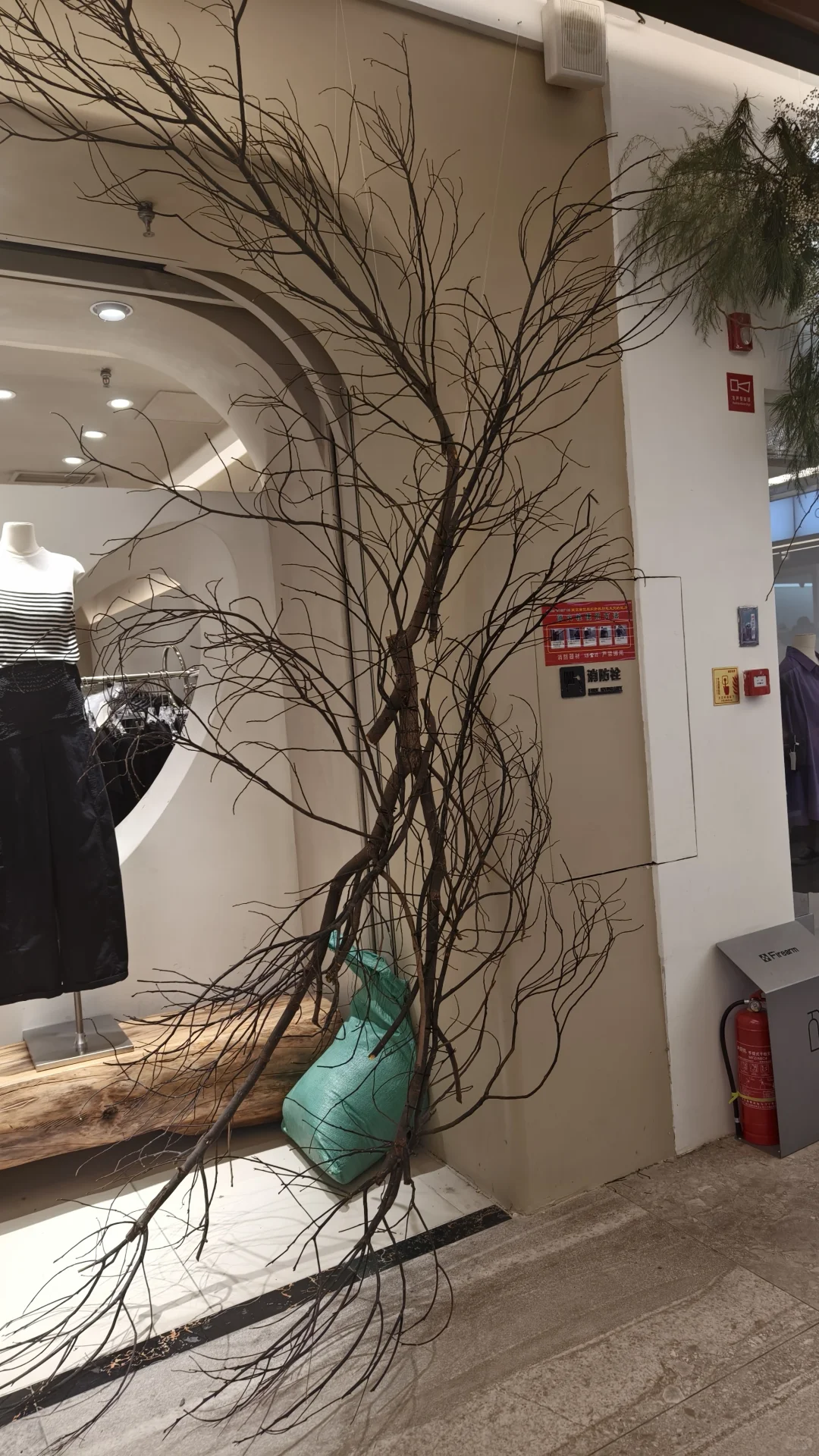 秋装采购节来了！！！